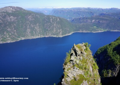 Skomakarnibbå_20150701_07