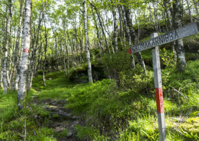 Outdoorlife Norway_Skomakarnibbå.20170617.1