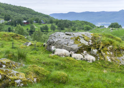 Outdoorlife Norway_Skomakarnibbå.20170617.15