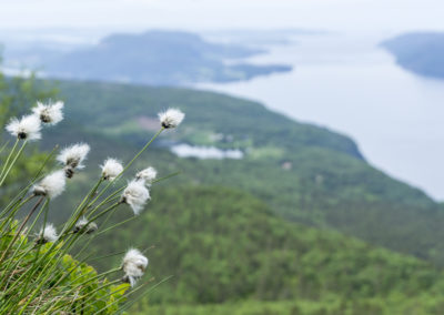 Outdoorlife Norway_Skomakarnibbå.20170617.5