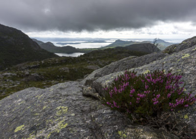 Outdoorlife Norway_Ryfylke Hike And Beer.20170813.26