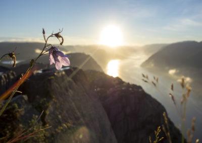 Outdoorlife Norway_Preikestolen Sunrise Hike.20170807.27