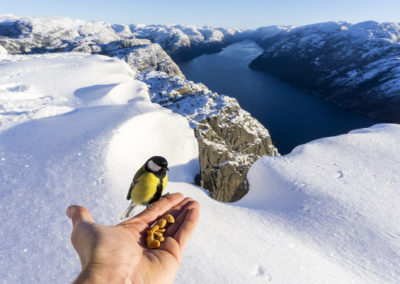 Preikestolen Winter Hike_Outdoorlife Norway_111