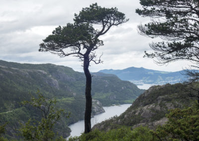 Outdoorlife Norway_Lysefjord View Hike_06