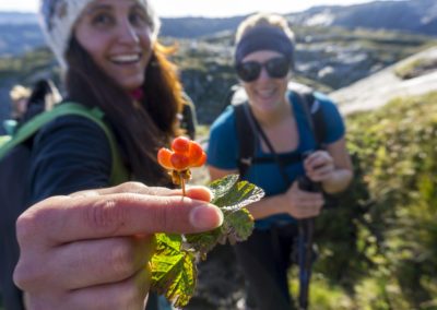 Outdoorlife Norway_Kjerag Summer Hike.20170827.22