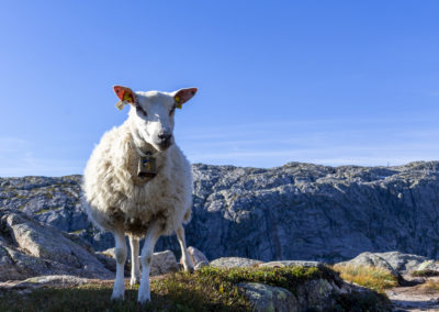 Outdoorlife Norway_Kjerag Summer Hike.20180813.12