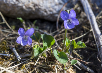 Outdoorlife Norway_Reinaknuten_20180509.2